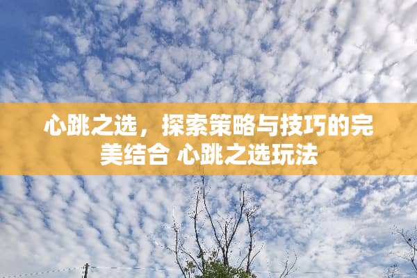心跳之选，探索策略与技巧的完美结合 心跳之选玩法