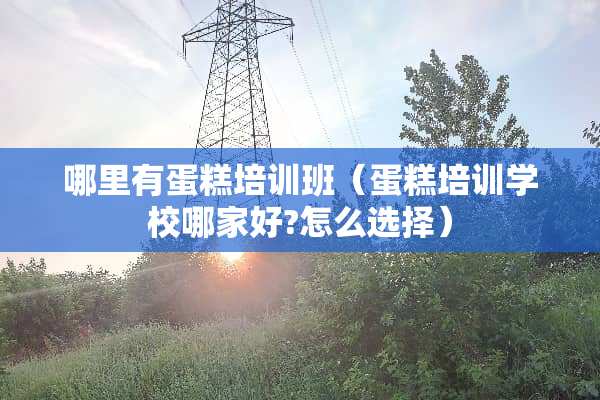 哪里有蛋糕培训班（蛋糕培训学校哪家好?怎么选择）
