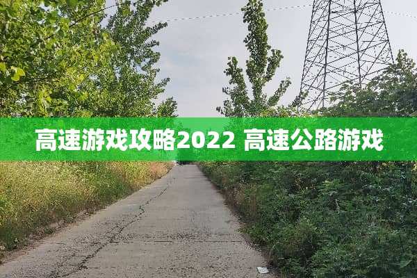 高速游戏攻略2022 高速公路游戏