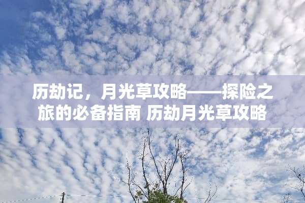 历劫记，月光草攻略——探险之旅的必备指南 历劫月光草攻略