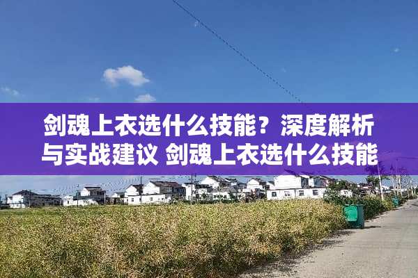剑魂上衣选什么技能？深度解析与实战建议 剑魂上衣选什么技能