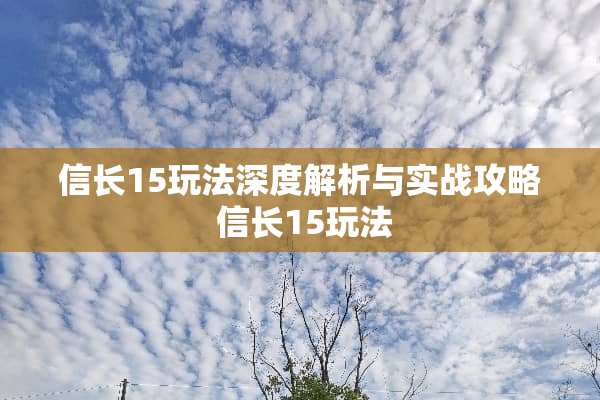 信长15玩法深度解析与实战攻略 信长15玩法