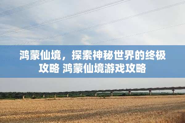 鸿蒙仙境，探索神秘世界的终极攻略 鸿蒙仙境游戏攻略