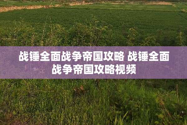 战锤全面战争帝国攻略 战锤全面战争帝国攻略视频