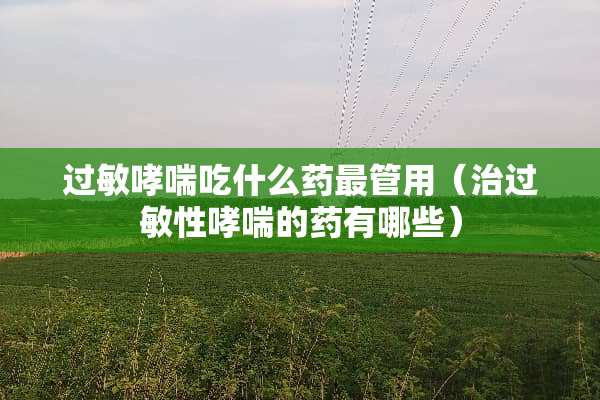 过敏哮喘吃什么药最管用(治过敏性哮喘的药有哪些) 过敏哮喘吃什么药最管用(治过敏性哮喘的药有哪些)