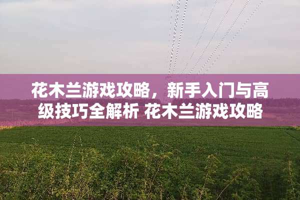 花木兰游戏攻略，新手入门与高级技巧全解析 花木兰游戏攻略