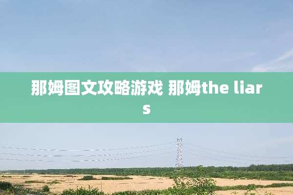 那姆图文攻略游戏 那姆the liars