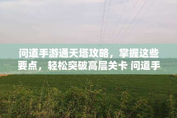 问道手游通天塔攻略，掌握这些要点，轻松突破高层关卡 问道手游通天塔攻略