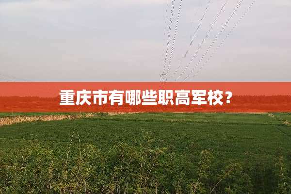 重庆市有哪些职高军校？