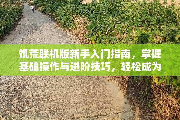饥荒联机版新手入门指南，掌握基础操作与进阶技巧，轻松成为生存达人 饥荒联机版攻略新手