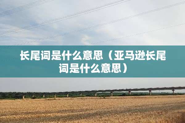 长尾词是什么意思（亚马逊长尾词是什么意思）