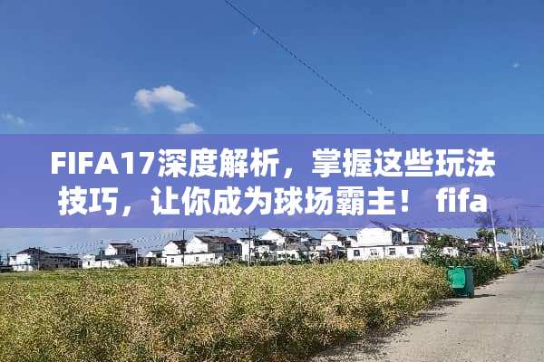 FIFA17深度解析，掌握这些玩法技巧，让你成为球场霸主！ fifa17玩法