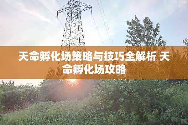 天命孵化场策略与技巧全解析 天命孵化场攻略