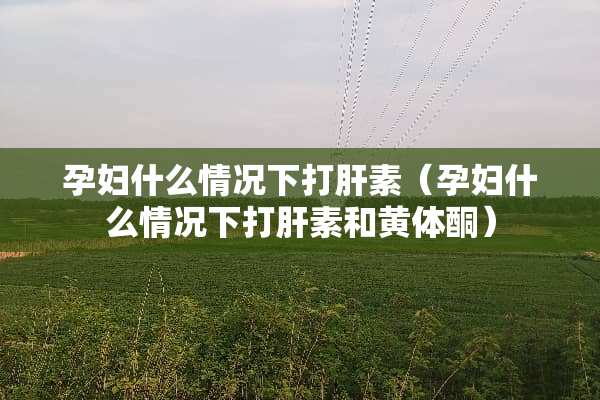 孕妇什么情况下打肝素（孕妇什么情况下打肝素和***）