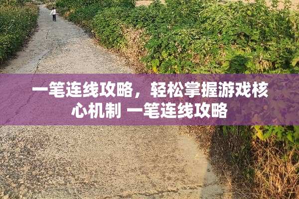 一笔连线攻略，轻松掌握游戏核心机制 一笔连线攻略