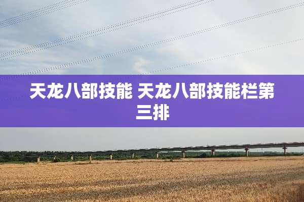 天龙八部技能 天龙八部技能栏第三排