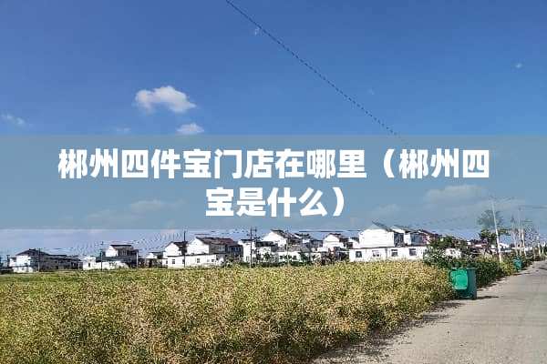郴州四件宝门店在哪里（郴州四宝是什么）