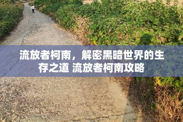 流放者柯南，解密黑暗世界的生存之道 流放者柯南攻略