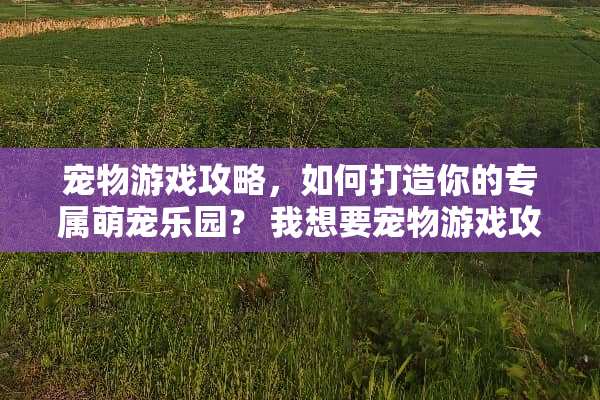 宠物游戏攻略，如何打造你的专属萌宠乐园？ 我想要宠物游戏攻略