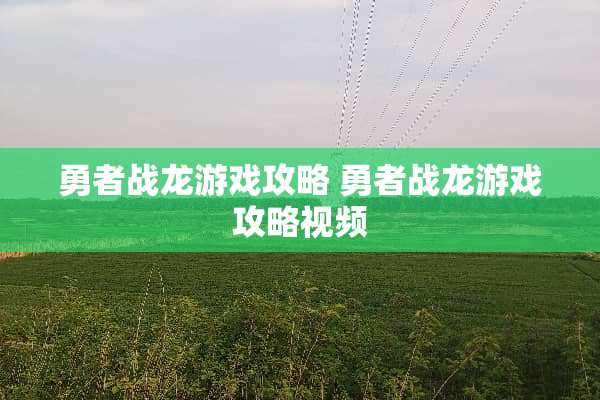 勇者战龙游戏攻略 勇者战龙游戏攻略视频