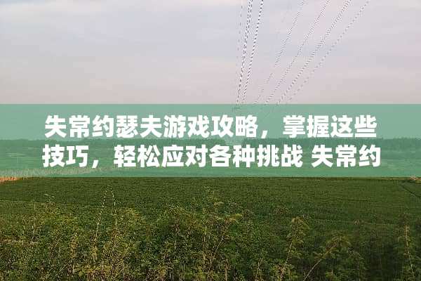 失常约瑟夫游戏攻略，掌握这些技巧，轻松应对各种挑战 失常约瑟夫玩法