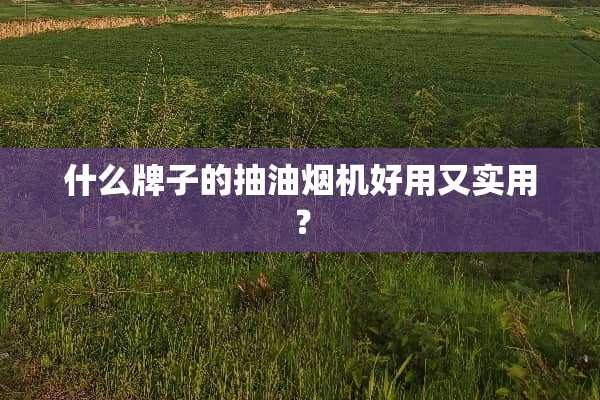 什么牌子的抽油烟机好用又实用？