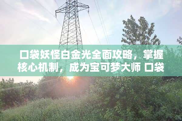口袋妖怪白金光全面攻略，掌握核心机制，成为宝可梦大师 口袋妖怪白金光攻略
