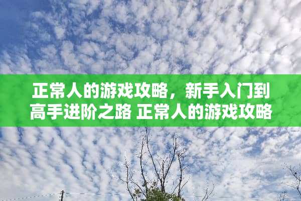 正常人的游戏攻略，新手入门到高手进阶之路 正常人的游戏攻略