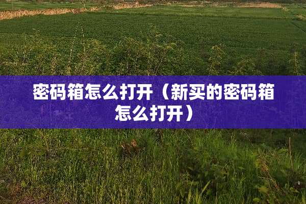 密码箱怎么打开（新买的密码箱怎么打开）