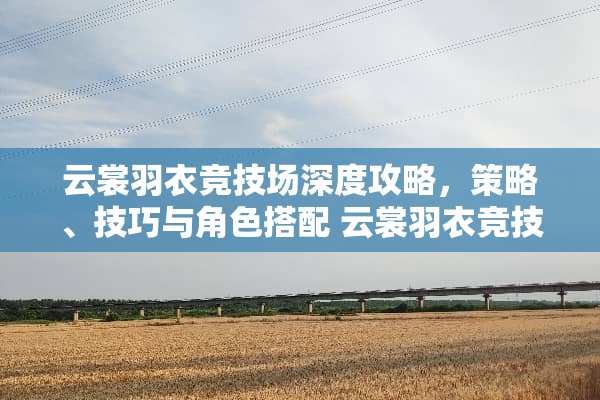 云裳羽衣竞技场深度攻略，策略、技巧与角色搭配 云裳羽衣竞技场攻略