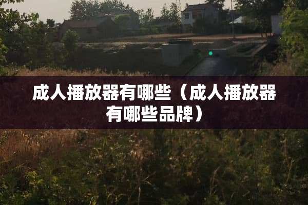**播放器有哪些（**播放器有哪些品牌）