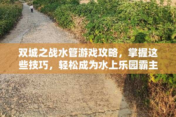 双城之战水管游戏攻略，掌握这些技巧，轻松成为水上乐园霸主 双城之战水管游戏攻略