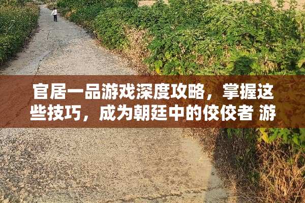 官居一品游戏深度攻略，掌握这些技巧，成为朝廷中的佼佼者 游戏官居一品攻略