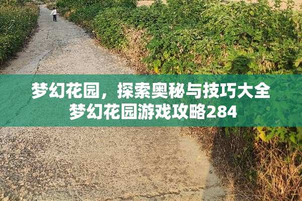 梦幻花园，探索奥秘与技巧大全 梦幻花园游戏攻略284