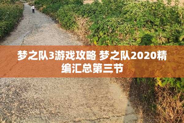 梦之队3游戏攻略 梦之队2020精编汇总第三节