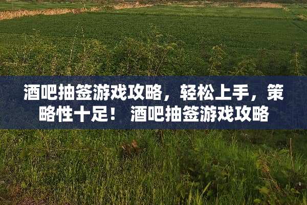 酒吧抽签游戏攻略，轻松上手，策略性十足！ 酒吧抽签游戏攻略