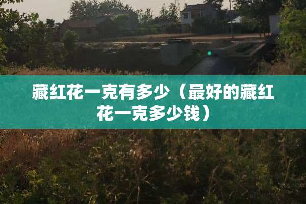 藏红花一克有多少（最好的藏红花一克多少钱）
