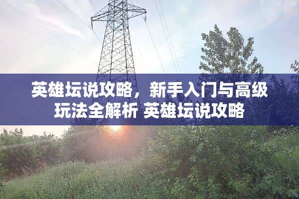 英雄坛说攻略，新手入门与高级玩法全解析 英雄坛说攻略