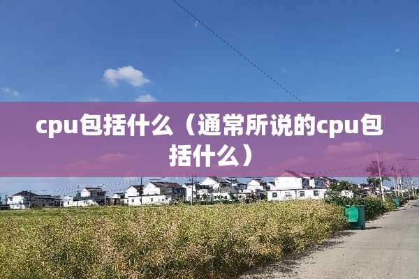 cpu包括什么（通常所说的cpu包括什么）