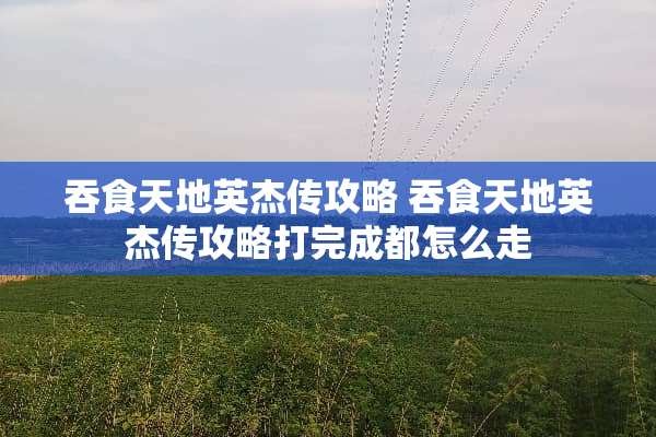吞食天地英杰传攻略 吞食天地英杰传攻略打完成都怎么走