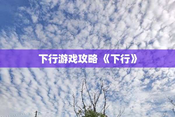 下行游戏攻略 《下行》