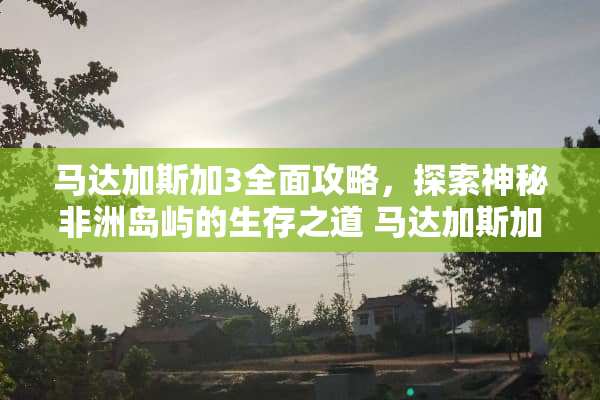 马达加斯加3全面攻略，探索神秘非洲岛屿的生存之道 马达加斯加3游戏攻略