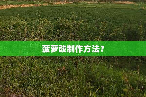 菠萝酸制作方法？