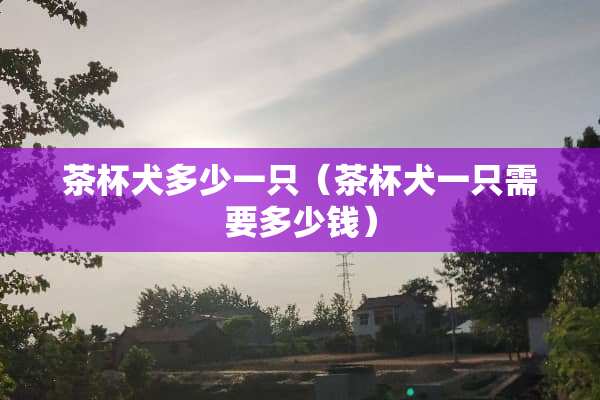 茶杯犬多少一只（茶杯犬一只需要多少钱）