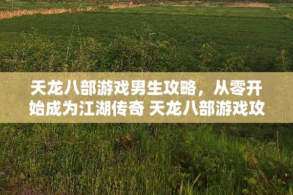 天龙八部游戏男生攻略，从零开始成为江湖传奇 天龙八部游戏攻略男生