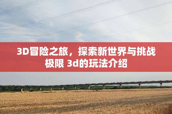 3D冒险之旅，探索新世界与挑战极限 3d的玩法介绍