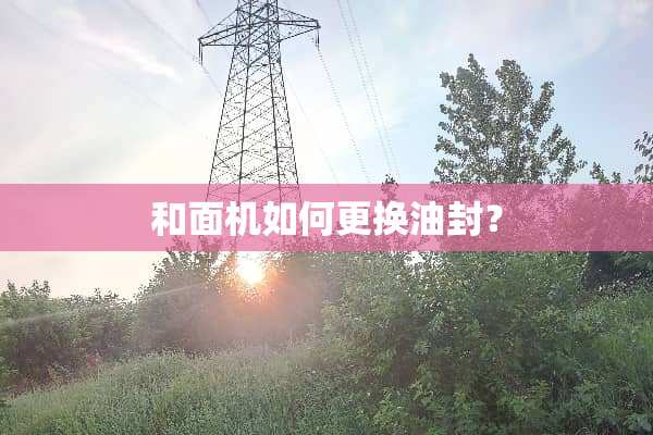 和面机如何更换油封？
