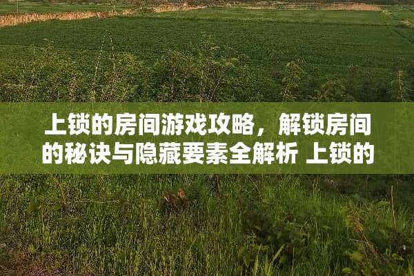 上锁的房间游戏攻略，解锁房间的秘诀与隐藏要素全解析 上锁的房间攻略