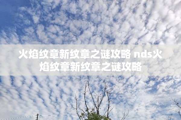 火焰纹章新纹章之谜攻略 nds火焰纹章新纹章之谜攻略