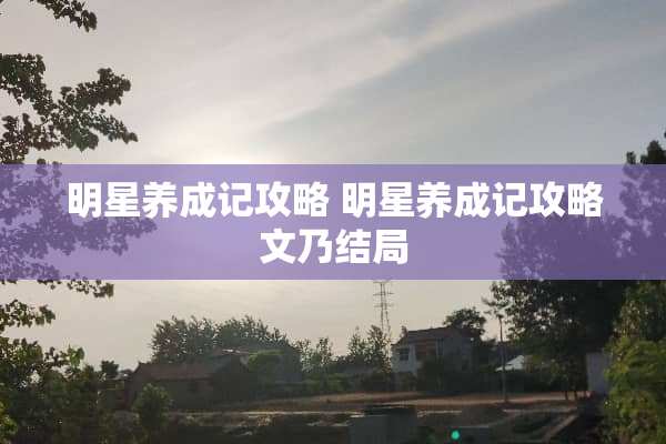 明星养成记攻略 明星养成记攻略文乃结局